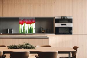 Dibond tábla a konyhapult mögött tulipánok - 60x60 cm ingyenes ragasztó