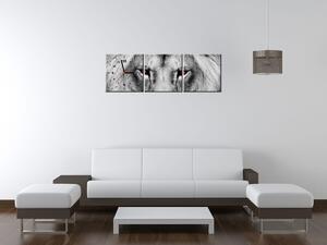 Gario Órás falikép Oroszlán tekintet - 3 részes Méret: 90 x 30 cm