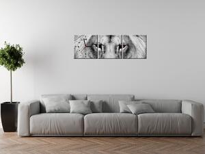 Gario Órás falikép Oroszlán tekintet - 3 részes Méret: 90 x 30 cm