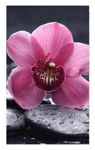 Nem szőtt fotótapéta a falra orchidea 150 x 250 cm