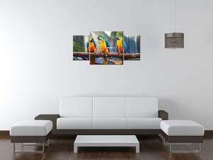 Gario Órás falikép Színes papagájok - 3 részes Méret: 90 x 70 cm