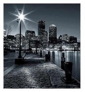 Nem szőtt fotótapéta boston 225 x 250 cm