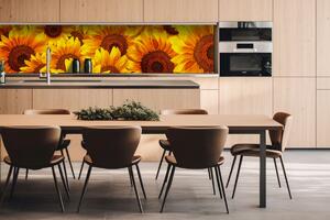 Dibond tábla a konyhapult mögött napraforgó - 260 x 60 cm ingyenes ragasztó