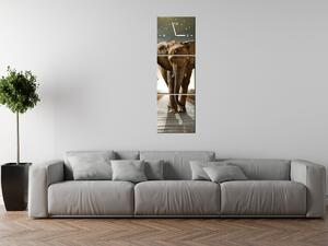 Gario Órás falikép Magányos eros elefánt - 3 részes Méret: 30 x 90 cm
