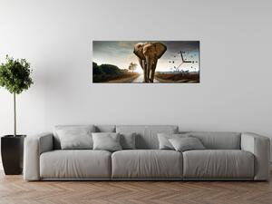 Gario Órás falikép Magányos eros elefánt Méret: 100 x 40 cm