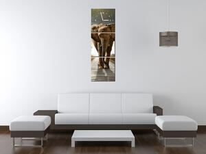 Gario Órás falikép Magányos eros elefánt - 3 részes Méret: 90 x 70 cm