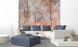 Nem szőtt fotótapéta absztrakt színes erdő 225 x 250 cm