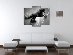 Gario Órás falikép Fekete-fehér ló, Jakub Banas - 3 részes Méret: 90 x 70 cm
