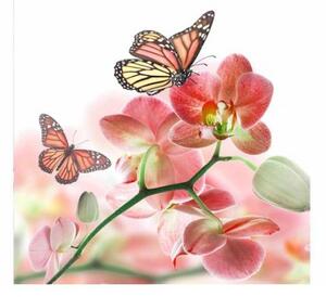 Nem szőtt fotótapéta pillangók és orchideák 225 x 250 cm