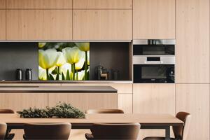 Dibond tábla a konyhapult mögött fehér tulipán - 80 x 60 cm ingyenes ragasztó
