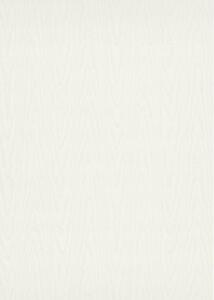 Nem szőtt tapéta a falra wpe-901682