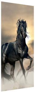 Gario Fotótapéta ajtóra Gyönyöru fekete ló Anyag: Öntapadó, Méret: 95 x 205 cm