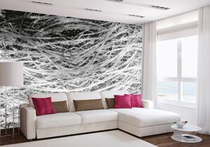 Nem szőtt fotótapéta széna absztrakt ii. 375 x 250 cm