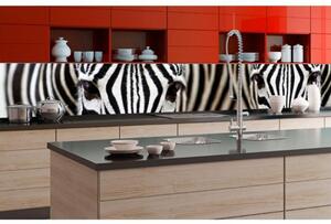 Konyhai fotótapéta - zebra 350 x 60 cm