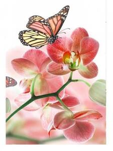 Nem szőtt fotótapéta a falra pillangók és orchideák 150 x 250 cm