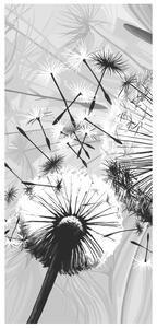 Gario Fotótapéta ajtóra Gyönyöru feketefehér pitypangok Anyag: Öntapadó, Méret: 95 x 205 cm