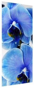 Gario Fotótapéta ajtóra Kék orchidea Anyag: Öntapadó, Méret: 95 x 205 cm