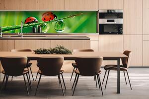 Dibond tábla a konyhapult mögött katicabogár - 260 x 60 cm ingyenes ragasztó