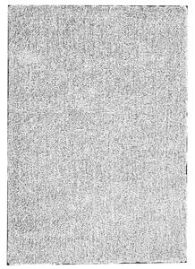 Shaggy szőnyeg DEMRE Szürke 160 x 230 cm