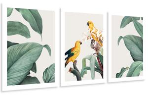Gario Poszter készlet Papagájok és levelek - 3 részes A keret színe: Keret nélkül, Méret: 135 x 63 cm