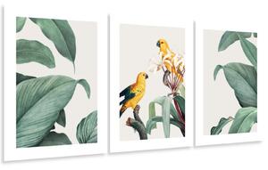Gario Poszter készlet Papagájok és levelek - 3 részes A keret színe: Keret nélkül, Méret: 99 x 45 cm