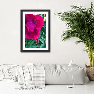 Gario Poszter Rózsaszín nagy virág A keret színe: Természetes, Méret: 20 x 30 cm