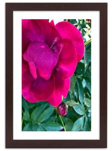 Gario Poszter Rózsaszín nagy virág A keret színe: Természetes, Méret: 20 x 30 cm