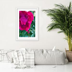 Gario Poszter Rózsaszín nagy virág A keret színe: Keret nélkül, Méret: 20 x 30 cm