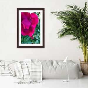 Gario Poszter Rózsaszín nagy virág A keret színe: Keret nélkül, Méret: 20 x 30 cm