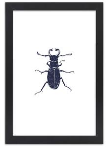 Gario Poszter Fekete bogár A keret színe: Keret nélkül, Méret: 20 x 30 cm