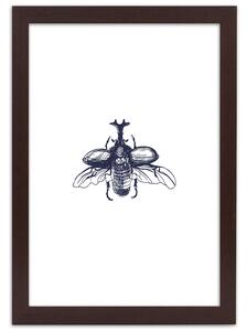 Gario Poszter Repülo bogár A keret színe: Barna, Méret: 20 x 30 cm