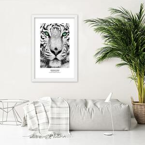 Gario Poszter Fehér tigris A keret színe: Barna, Méret: 20 x 30 cm