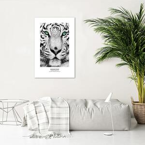 Gario Poszter Fehér tigris A keret színe: Fehér, Méret: 20 x 30 cm