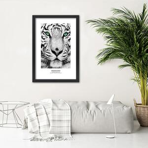 Gario Poszter Fehér tigris A keret színe: Barna, Méret: 20 x 30 cm