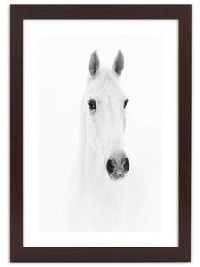Gario Poszter Szürke ló A keret színe: Barna, Méret: 20 x 30 cm