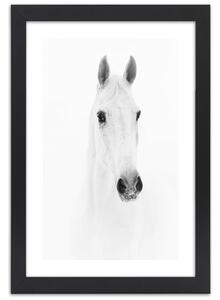Gario Poszter Szürke ló A keret színe: Barna, Méret: 20 x 30 cm