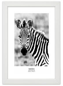 Gario Poszter Kíváncsi zebra A keret színe: Barna, Méret: 20 x 30 cm