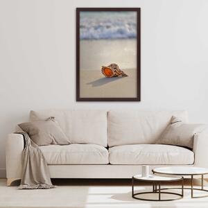 Gario Poszter Kagyló a tengerparton A keret színe: Természetes, Méret: 20 x 30 cm