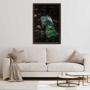 Gario Poszter Páva farok A keret színe: Természetes, Méret: 20 x 30 cm