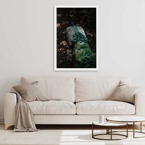 Gario Poszter Páva farok A keret színe: Barna, Méret: 20 x 30 cm