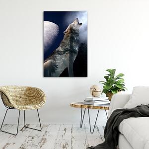 Gario Poszter Farkas üvölt a holdra A keret színe: Természetes, Méret: 30 x 45 cm
