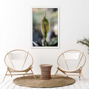 Gario Poszter Érdekes egzotikus növény A keret színe: Természetes, Méret: 30 x 45 cm