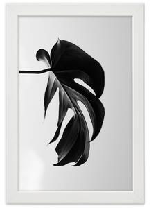 Gario Poszter Fekete-fehér monstera levél A keret színe: Természetes, Méret: 30 x 45 cm