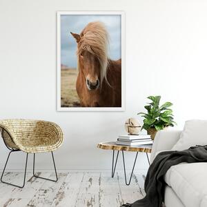 Gario Poszter Ló hosszú sörénnyel A keret színe: Barna, Méret: 20 x 30 cm
