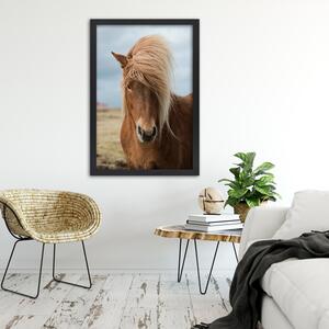 Gario Poszter Ló hosszú sörénnyel A keret színe: Természetes, Méret: 20 x 30 cm