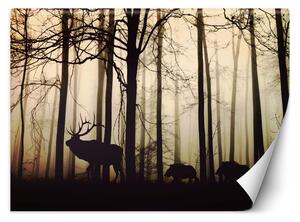 Gario Fotótapéta Állatok az erdőben Anyag: Vlies, Méret: 200 x 140 cm