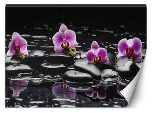 Gario Fotótapéta Zen kövek és orchideák Anyag: Vlies, Méret: 200 x 140 cm