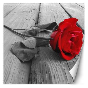 Gario Fotótapéta Vörös rózsa régi deszkákon Anyag: Vlies, Méret: 100 x 100 cm
