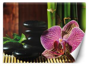 Gario Fotótapéta Orchidea, zen kövek és bambusz Anyag: Vlies, Méret: 200 x 140 cm