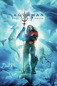 Művészi plakát Aquaman and the Lost Kingdom - King, (26.7 x 40 cm)